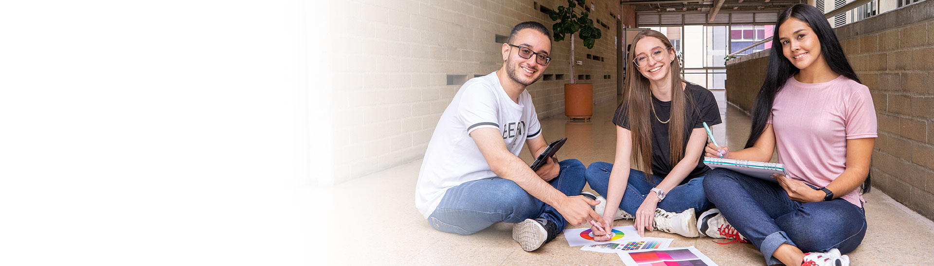 banner diseno grafico